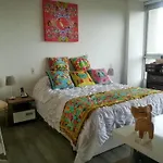 Apartaestudio En Edificio Aniz